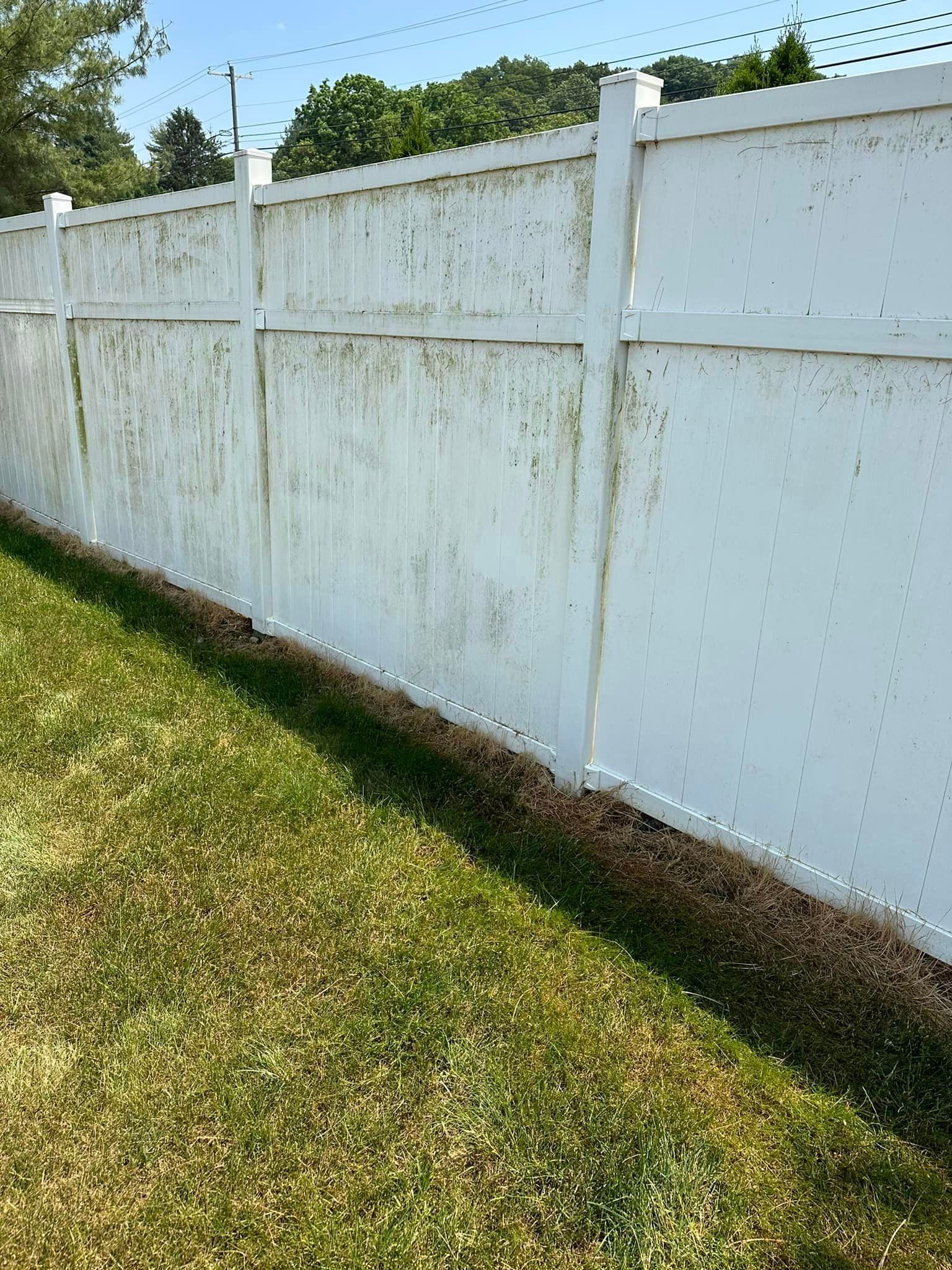 Fence+Before-1920w (1)